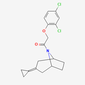 1-{3-Cyclopropylidene-8-azabicyclo[3.2.1]octan-8-yl}-2-(2,4-dichlorophenoxy)ethan-1-one