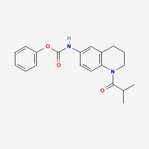 Phenyl (1-isobutyryl-1,2,3,4-tetrahydroquinolin-6-yl)carbamate