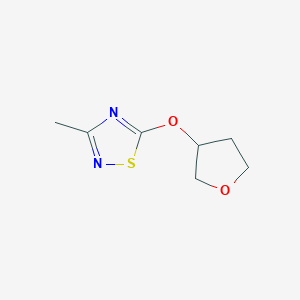 3-Methyl-5-(oxolan-3-yloxy)-1,2,4-thiadiazole