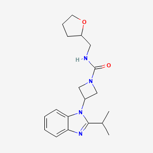 molecular formula C19H26N4O2 B2762599 N-[(oxolan-2-yl)methyl]-3-[2-(propan-2-yl)-1H-1,3-benzodiazol-1-yl]azetidine-1-carboxamide CAS No. 2415622-10-3