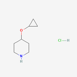 4-Cyclopropoxypiperidine hydrochloride