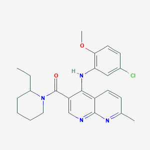molecular formula C24H27ClN4O2 B2767384 N-(5-chloro-2-methoxyphenyl)-3-(2-ethylpiperidine-1-carbonyl)-7-methyl-1,8-naphthyridin-4-amine CAS No. 1251544-05-4
