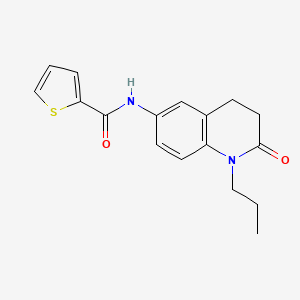 molecular formula C17H18N2O2S B2769087 N-(2-oxo-1-propyl-1,2,3,4-tetrahydroquinolin-6-yl)thiophene-2-carboxamide CAS No. 941991-02-2