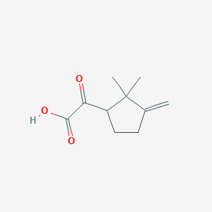 (2,2-Dimethyl-3-methylenecyclopentyl)oxoacetic acid