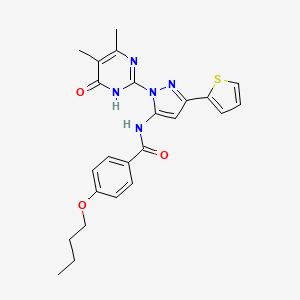 molecular formula C24H25N5O3S B2770923 4-Butoxy-N-(1-(4,5-dimethyl-6-oxo-1,6-dihydropyrimidin-2-yl)-3-(thiophen-2-yl)-1H-pyrazol-5-yl)benzamide CAS No. 1171400-76-2