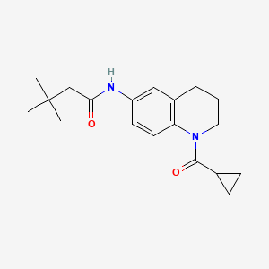 molecular formula C19H26N2O2 B2772509 N-(1-cyclopropanecarbonyl-1,2,3,4-tetrahydroquinolin-6-yl)-3,3-dimethylbutanamide CAS No. 941871-02-9