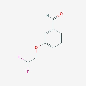 molecular formula C9H8F2O2 B2773250 3-(2,2-Difluoroethoxy)benzaldehyde CAS No. 467458-98-6