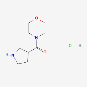 molecular formula C9H17ClN2O2 B2773432 4-(3-Pyrrolidinylcarbonyl)-morpholine HCl CAS No. 192869-54-8