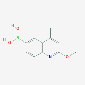 (2-Methoxy-4-methylquinolin-6-yl)boronic acid