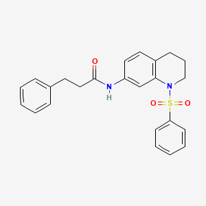 molecular formula C24H24N2O3S B2774946 N-[1-(benzenesulfonyl)-1,2,3,4-tetrahydroquinolin-7-yl]-3-phenylpropanamide CAS No. 1005299-33-1