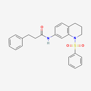 N-[1-(benzenesulfonyl)-3,4-dihydro-2H-quinolin-7-yl]-3-phenylpropanamide