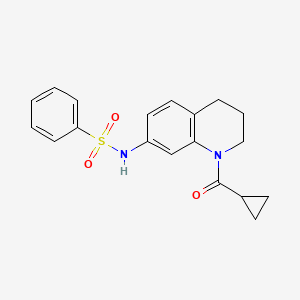 molecular formula C19H20N2O3S B2776019 N-(1-cyclopropanecarbonyl-1,2,3,4-tetrahydroquinolin-7-yl)benzenesulfonamide CAS No. 898465-58-2