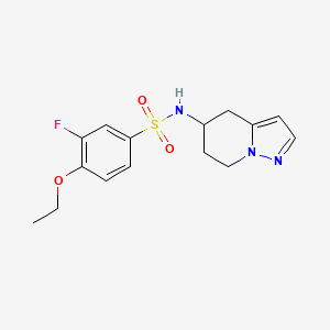 4-ethoxy-3-fluoro-N-(4,5,6,7-tetrahydropyrazolo[1,5-a]pyridin-5-yl)benzenesulfonamide
