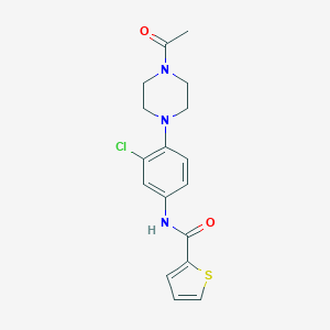 molecular formula C17H18ClN3O2S B277869 N-[4-(4-acetylpiperazin-1-yl)-3-chlorophenyl]thiophene-2-carboxamide 