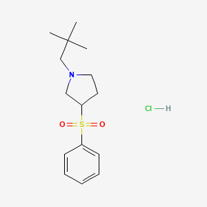 1-Neopentyl-3-(phenylsulfonyl)pyrrolidine hydrochloride