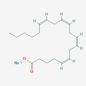 molecular formula C20H31O2 · Na B027794 Sodium arachidonate CAS No. 6610-25-9