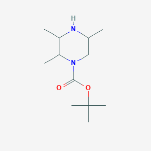 molecular formula C12H24N2O2 B2779878 Tert-butyl 2,3,5-trimethylpiperazine-1-carboxylate CAS No. 1936555-43-9