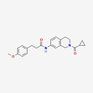 molecular formula C23H26N2O3 B2780105 N-(2-cyclopropanecarbonyl-1,2,3,4-tetrahydroisoquinolin-7-yl)-3-(4-methoxyphenyl)propanamide CAS No. 955765-52-3