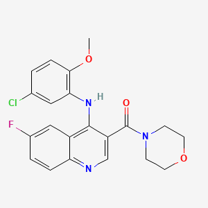molecular formula C21H19ClFN3O3 B2780198 N-(5-CHLORO-2-METHOXYPHENYL)-6-FLUORO-3-(MORPHOLINE-4-CARBONYL)QUINOLIN-4-AMINE CAS No. 1359086-86-4