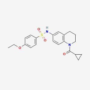 molecular formula C21H24N2O4S B2782949 N-(1-cyclopropanecarbonyl-1,2,3,4-tetrahydroquinolin-6-yl)-4-ethoxybenzene-1-sulfonamide CAS No. 946258-01-1