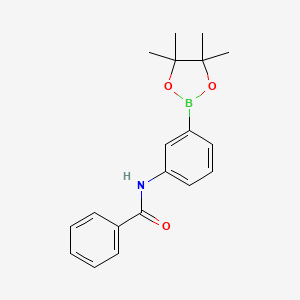 molecular formula C19H22BNO3 B2783658 N-[3-(4,4,5,5-Tetramethyl-1,3,2-dioxaborolan-2-yl)phenyl]-Benzamide CAS No. 1330596-14-9
