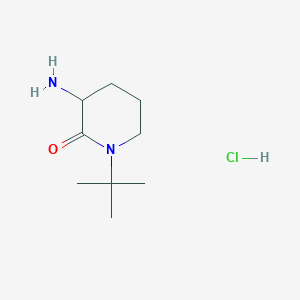 3-Amino-1-tert-butylpiperidin-2-one hydrochloride