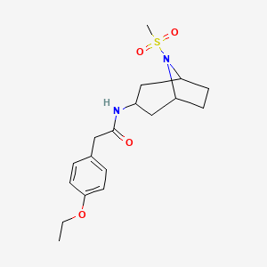 2-(4-ethoxyphenyl)-N-(8-(methylsulfonyl)-8-azabicyclo[3.2.1]octan-3-yl)acetamide