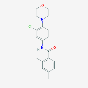 molecular formula C19H21ClN2O2 B278387 N-[3-chloro-4-(morpholin-4-yl)phenyl]-2,4-dimethylbenzamide 