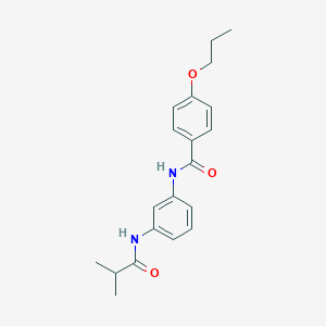 molecular formula C20H24N2O3 B278489 N-[3-(isobutyrylamino)phenyl]-4-propoxybenzamide 