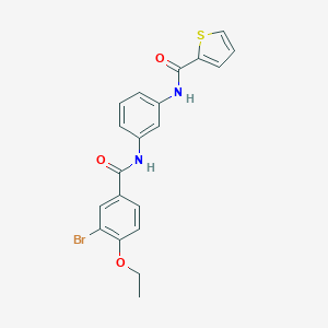 molecular formula C20H17BrN2O3S B278500 N-[3-(3-BROMO-4-ETHOXYBENZAMIDO)PHENYL]THIOPHENE-2-CARBOXAMIDE 