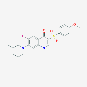 7-(3,5-dimethylpiperidin-1-yl)-6-fluoro-3-((4-methoxyphenyl)sulfonyl)-1-methylquinolin-4(1H)-one