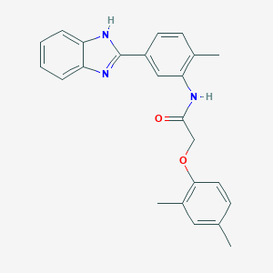 molecular formula C24H23N3O2 B278593 N-[5-(1H-benzimidazol-2-yl)-2-methylphenyl]-2-(2,4-dimethylphenoxy)acetamide 