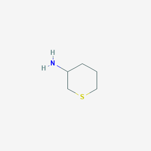 molecular formula C5H11NS B2788540 Thian-3-amine CAS No. 117593-38-1