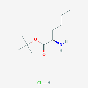 molecular formula C10H22ClNO2 B2788855 tert-butyl (2R)-2-aminohexanoate hydrochloride CAS No. 158741-12-9