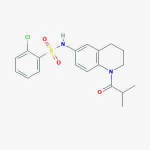 molecular formula C19H21ClN2O3S B2789546 2-chloro-N-(1-isobutyryl-1,2,3,4-tetrahydroquinolin-6-yl)benzenesulfonamide CAS No. 1005293-52-6