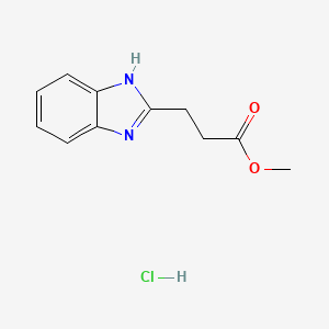 molecular formula C11H13ClN2O2 B2790879 methyl 3-(1{H}-benzimidazol-2-yl)propanoate CAS No. 1216419-78-1
