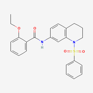 molecular formula C24H24N2O4S B2791006 N-[1-(benzenesulfonyl)-1,2,3,4-tetrahydroquinolin-7-yl]-2-ethoxybenzamide CAS No. 1005301-33-6