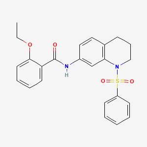 molecular formula C24H24N2O4S B2791006 2-ethoxy-N-(1-(phenylsulfonyl)-1,2,3,4-tetrahydroquinolin-7-yl)benzamide CAS No. 1005301-33-6
