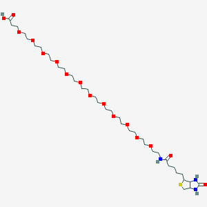 molecular formula C37H69N3O16S B2792936 Biotin-PEG12-COOH CAS No. 948595-11-7