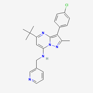 molecular formula C23H24ClN5 B2793513 5-tert-butyl-3-(4-chlorophenyl)-2-methyl-N-(pyridin-3-ylmethyl)pyrazolo[1,5-a]pyrimidin-7-amine CAS No. 862485-46-9