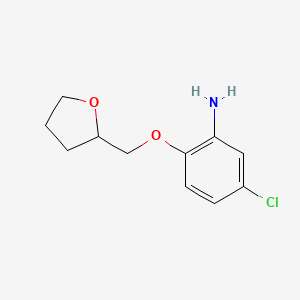5-Chloro-2-(tetrahydro-2-furanylmethoxy)aniline