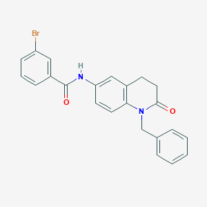 molecular formula C23H19BrN2O2 B2795159 N-(1-benzyl-2-oxo-1,2,3,4-tetrahydroquinolin-6-yl)-3-bromobenzamide CAS No. 941905-41-5