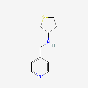 molecular formula C10H14N2S B2797097 N-(pyridin-4-ylmethyl)tetrahydrothiophen-3-amine CAS No. 1042528-73-3
