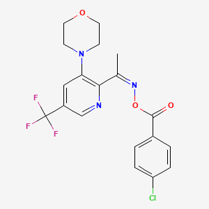 4-[2-{[(4-Chlorobenzoyl)oxy]ethanimidoyl}-5-(trifluoromethyl)-3-pyridinyl]morpholine