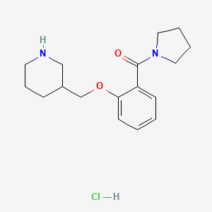 (2-(Piperidin-3-ylmethoxy)phenyl)(pyrrolidin-1-yl)methanone hydrochloride