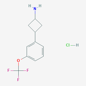 3-[3-(Trifluoromethoxy)phenyl]cyclobutan-1-amine hydrochloride