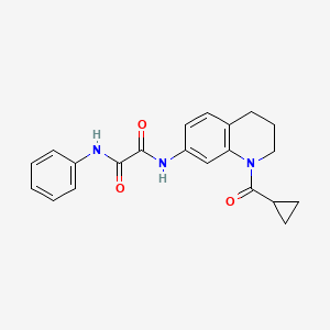 molecular formula C21H21N3O3 B2804319 N-(1-cyclopropanecarbonyl-1,2,3,4-tetrahydroquinolin-7-yl)-N'-phenylethanediamide CAS No. 898447-45-5