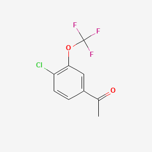 molecular formula C9H6ClF3O2 B2804844 4'-Chloro-3'-(trifluoromethoxy)acetophenone CAS No. 886501-62-8