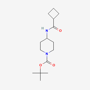 tert-Butyl 4-(cyclobutanecarbonylamino)piperidine-1-carboxylate