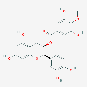molecular formula C23H20O10 B028073 Epicatechin 3-O-(4-O-methylgallate) CAS No. 108907-44-4
